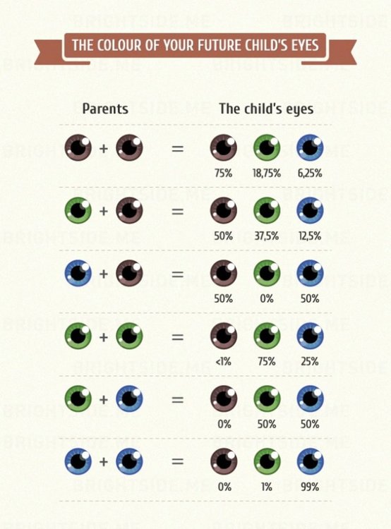 Какъв цвят ще са очите на бебето