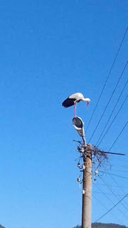 Снимки:вестник Доспат, автор Ирина Дерменджиева