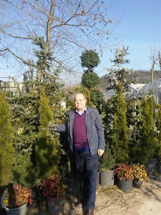 Рафет от Ялова разкрасява Ардино с екзотични цветя