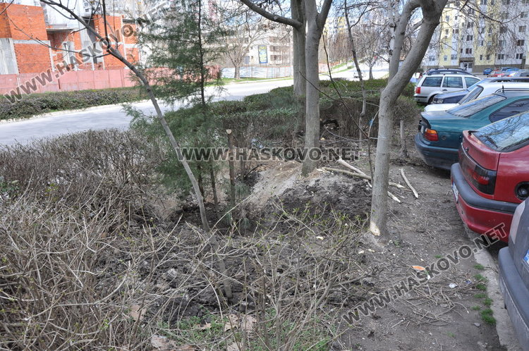 Наказват 63-годишен хасковлия, садил фиданки пред блока
