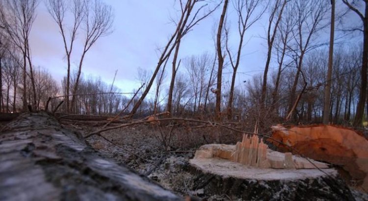 снимка интернет