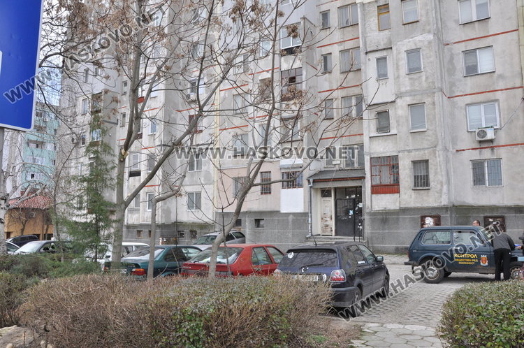 Общината: Преди да садите дърво пред блока, питайте