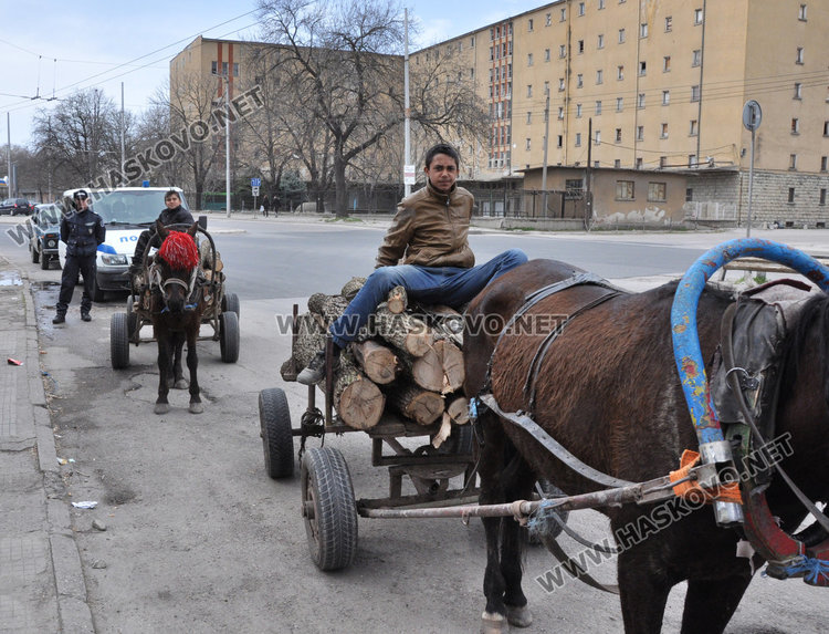  Спипаха каруцари с незаконни дърва от Кенана 