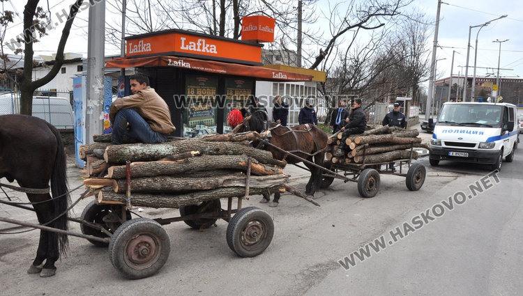  Спипаха каруцари с незаконни дърва от Кенана 