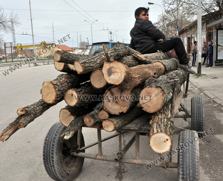  Спипаха каруцари с незаконни дърва от Кенана 