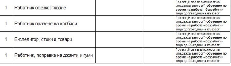Работни места на трудовата борса в Димитровград