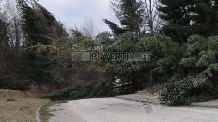 Снимката е архивен кадър от бурята през януари