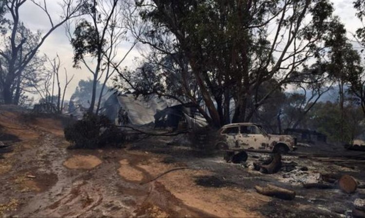 Огромен горски пожар евакуира цял град в Астралия