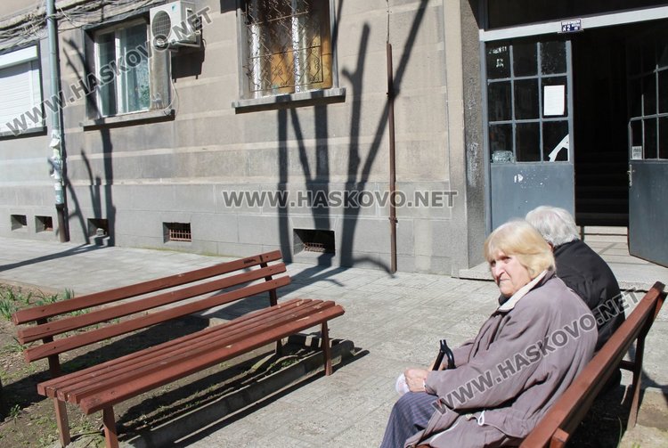 Живеещите на ул."Волгоград" №2 сами са поискали подкрастряне на клоните на дърветата