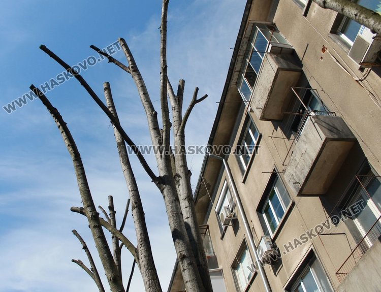 Ул."Волгоград"