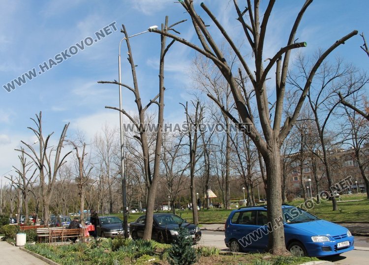 Ул."Цар Симеон"