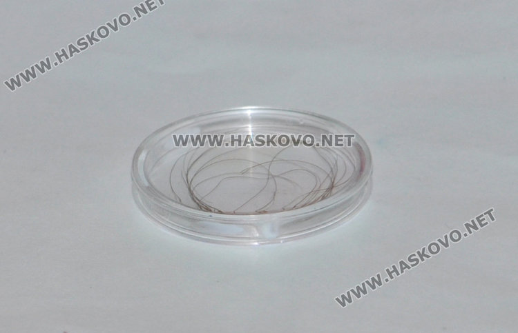 Сродница на Левски донесе в Хасково кичур от косата на Апостола