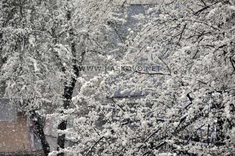 Пак дъжд и сняг в Хасково, жълт код за опасно време