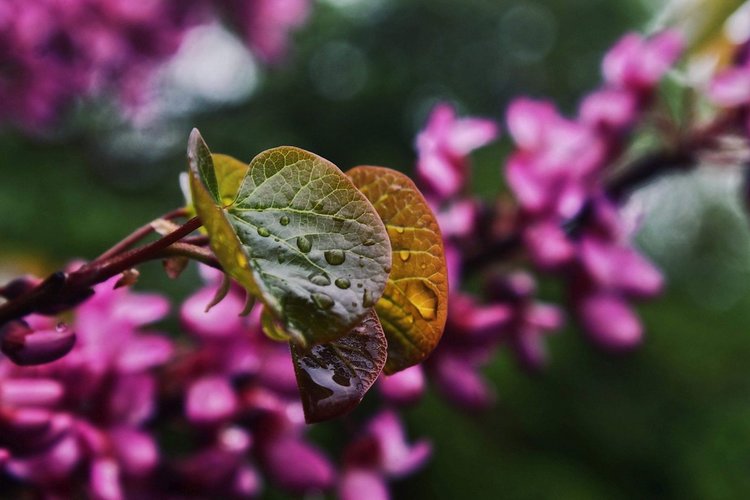 Снимката на Рени Делчева, спечелила поощрителна награда