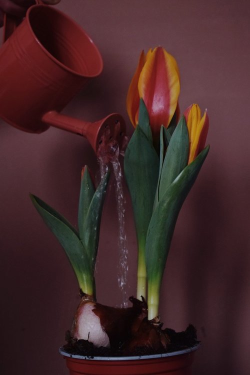 Снимката на Жаклин Добрева е заела второ място