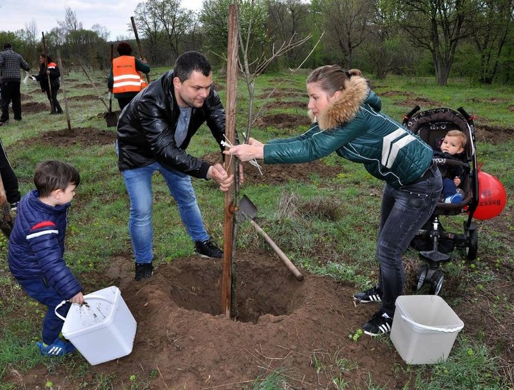 87 родители искат да засадят дърво в Алеята на новия живот в Димитровград