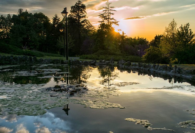 Снимката на Габриела Грудова е класирана на второ място