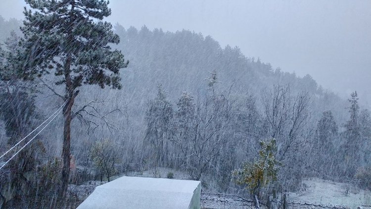 Идва студена вълна, сняг и силен вятър в планината