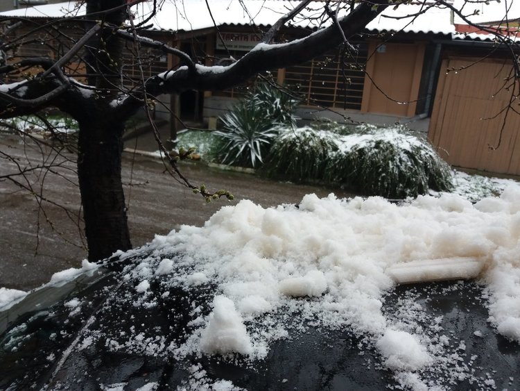 И в Първомай снегът не е снежно бял