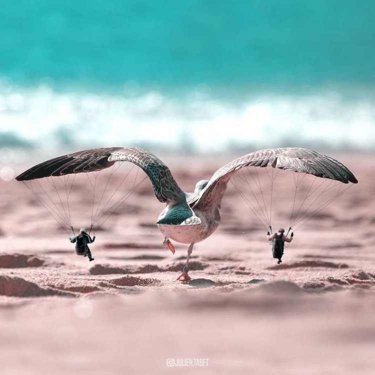 Необикновените творения на Жулиен Табе (видео)