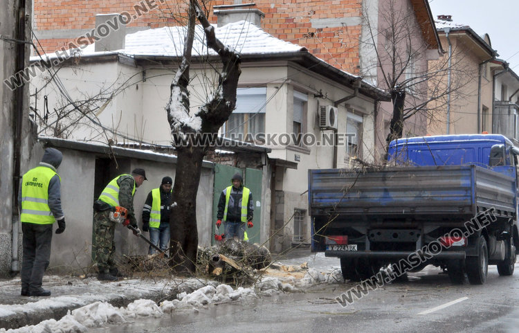 Дърво рухна под тежестта на снега до къщата на кмета