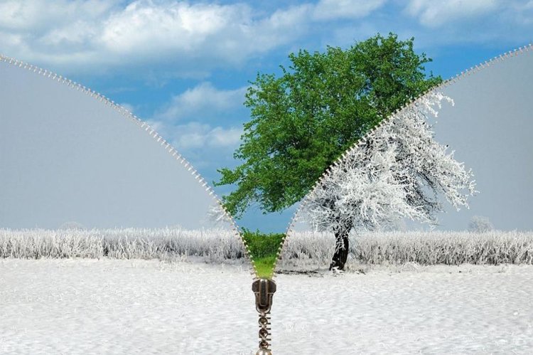 Задава ли се пролетта?