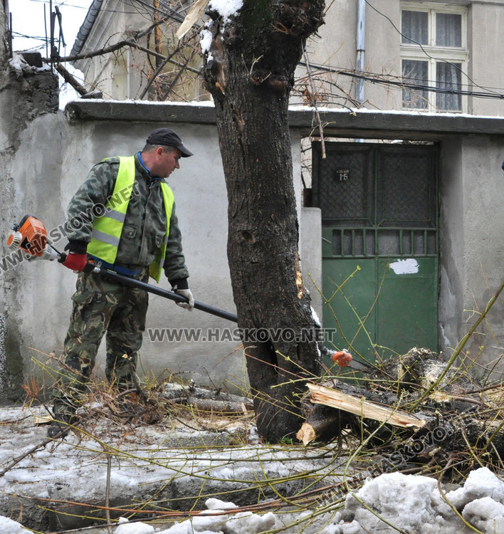 Дърво рухна под тежестта на снега до къщата на кмета