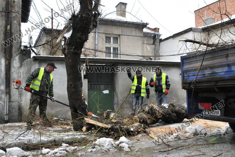 Дърво рухна под тежестта на снега до къщата на кмета