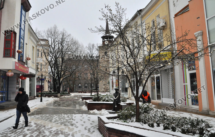 Магнолиите в Хасково разцъфнаха, още сняг в събота
