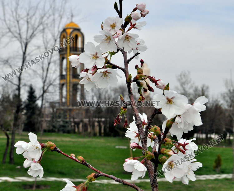 Градусите тръгват нагоре, без сняг в неделя