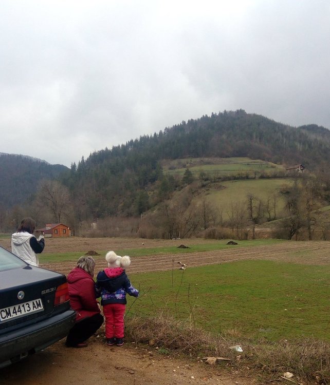 За пръв път от години щъркели пристигнаха в смолянското село Смилян