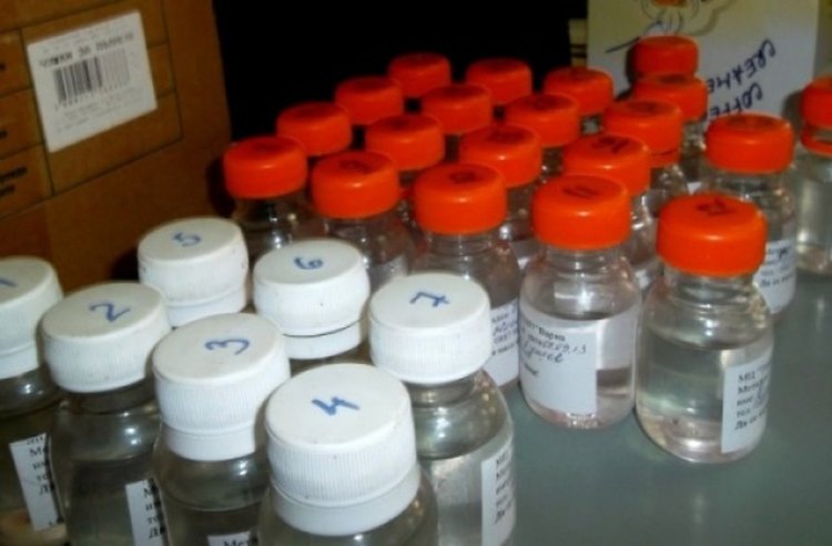 снимката е илюстративна