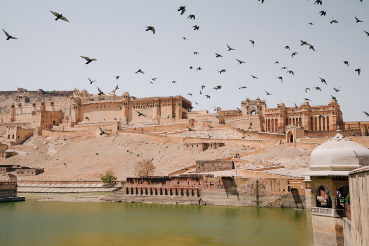 Розовият град (видео)