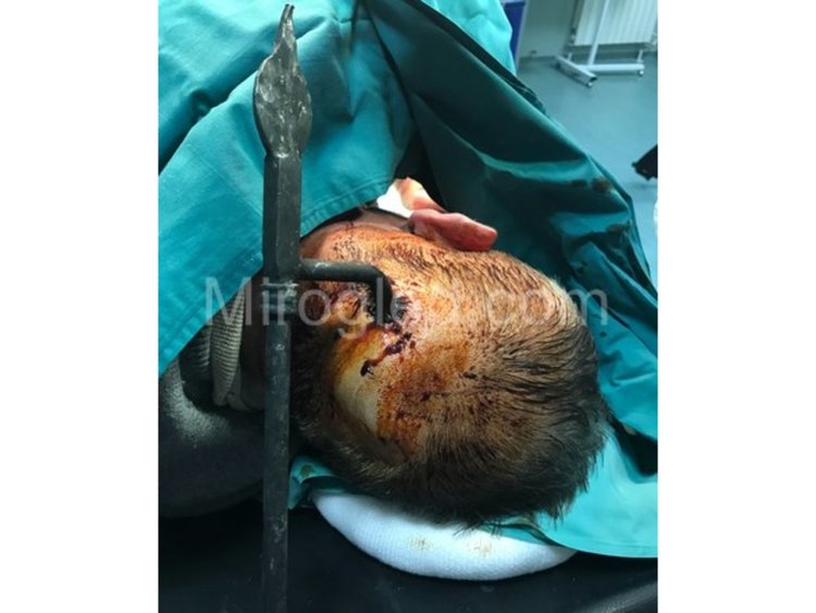 Снимка: mirogled.com