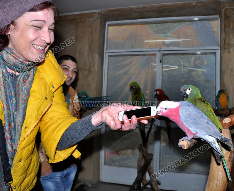 Део е свикнал с интервютата