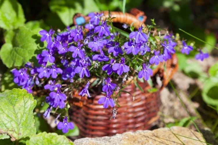 Слънчево време в четвъртък 