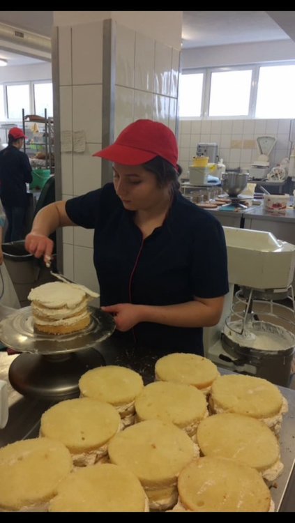Златаровци отново участват в проект &ldquo;Ученически практики&rdquo;