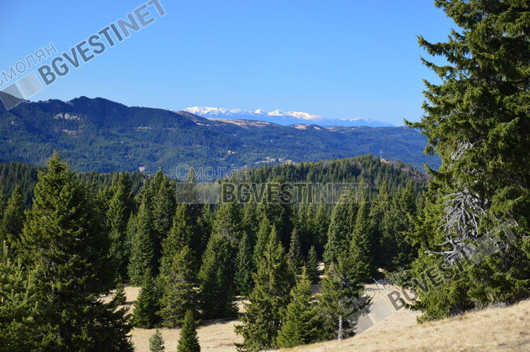 Слънчев ден, затоплянето продължава