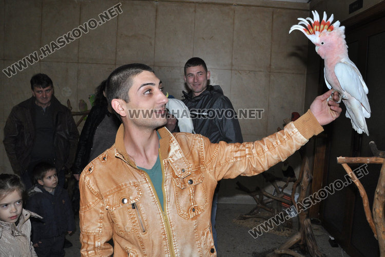 Най-големият папагал на света чака любопитковци в центъра на Хасково