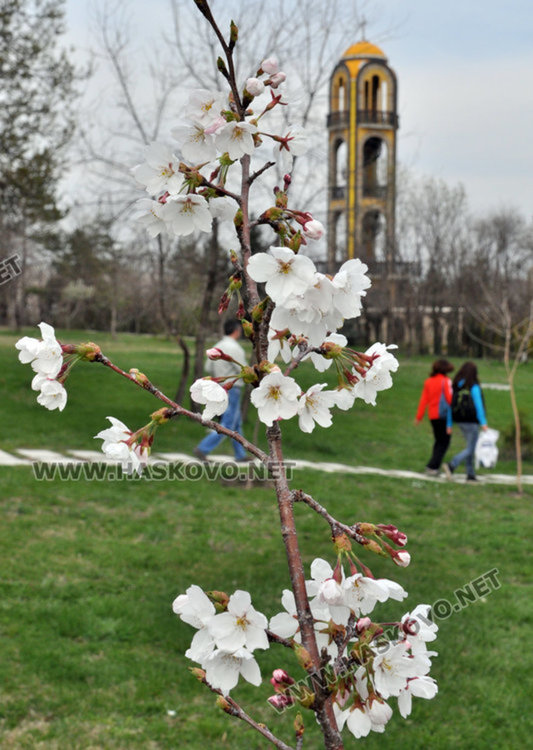 Слънчево в петък, живакът стига 19 градуса