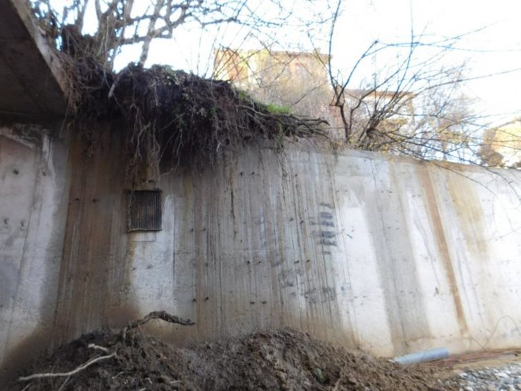 снимка: devinonline.net