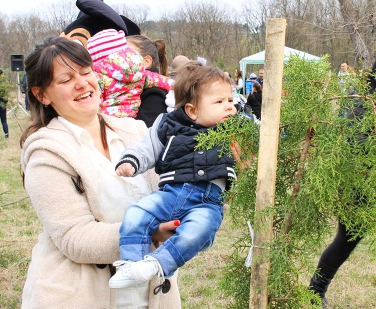 За девета година в парк "Марица" ще се проведе инициативата "Алея на новия живот", снимки -архив