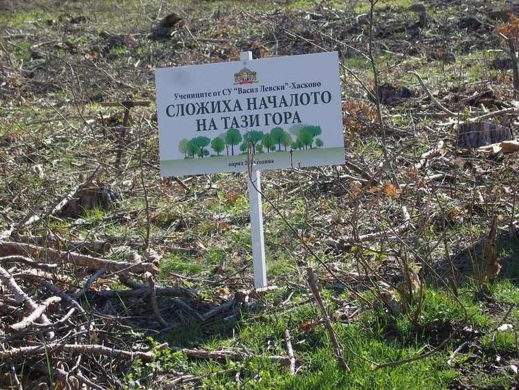 Ученици и учители от „Васил Левски” засадиха нова гора