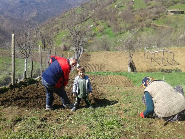 Изселници от Турция идват, за да отглеждат плодове и зеленчуци