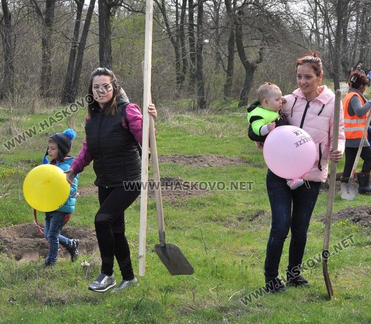 Алеята на новия живот порасна с още над 100 дървета