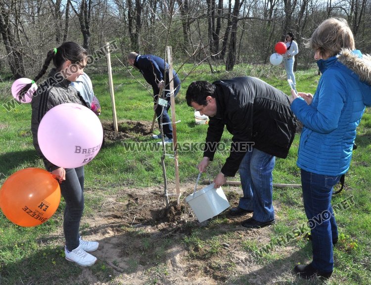 Алеята на новия живот порасна с още над 100 дървета