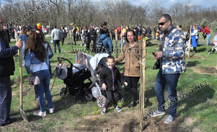 Алеята на новия живот порасна с още над 100 дървета
