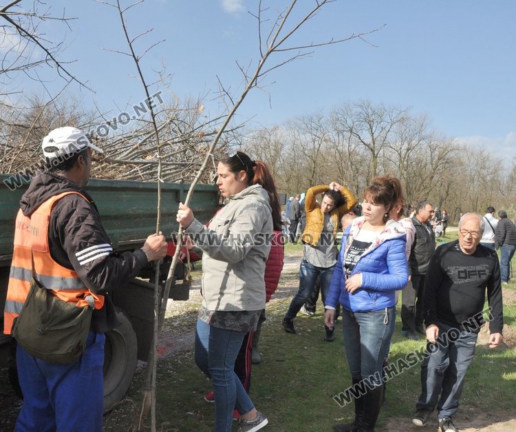 Алеята на новия живот порасна с още над 100 дървета