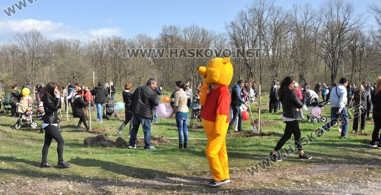 Алеята на новия живот порасна с още над 100 дървета