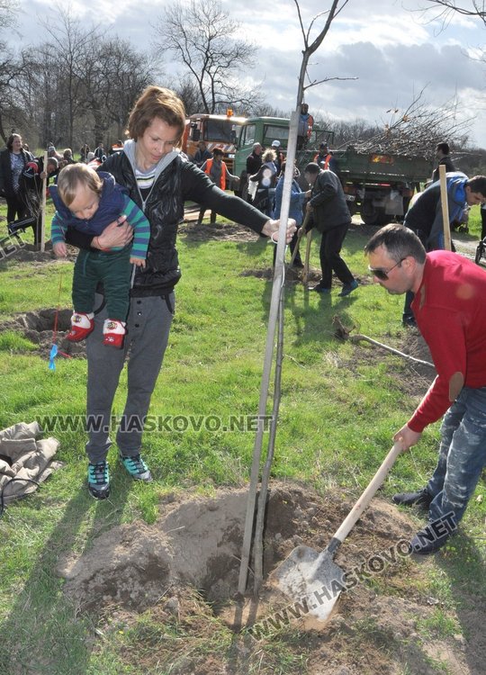 Алеята на новия живот порасна с още над 100 дървета